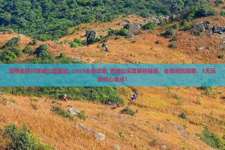 淄博去四川青城山哪里玩
