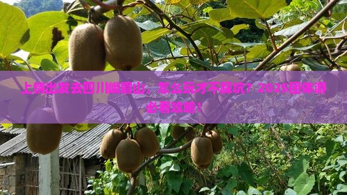 上饶去四川峨眉山团体旅游