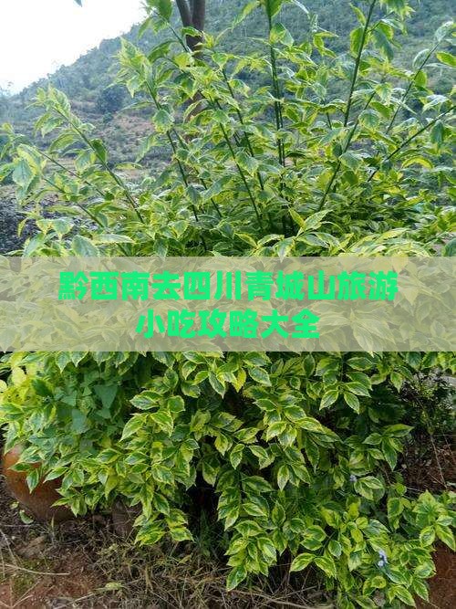 黔西南去四川青城山旅游小吃