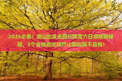 唐山到四川黄龙六日游