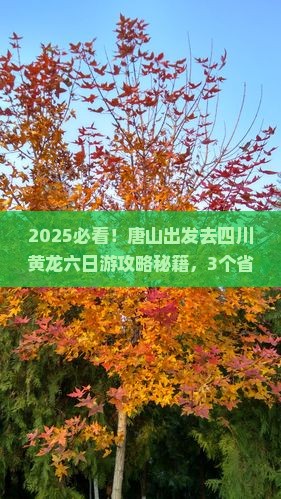 唐山到四川黄龙六日游