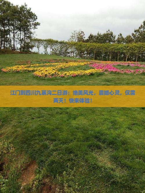 江门到四川九寨沟二日游