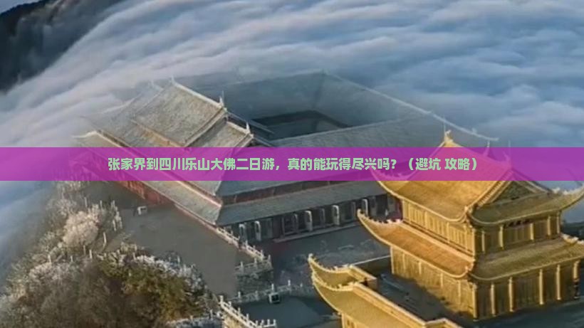 张家界到四川乐山大佛二日游