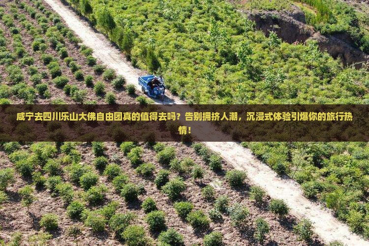 咸宁去四川乐山大佛自由团