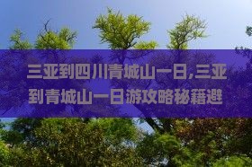 三亚到四川青城山一日