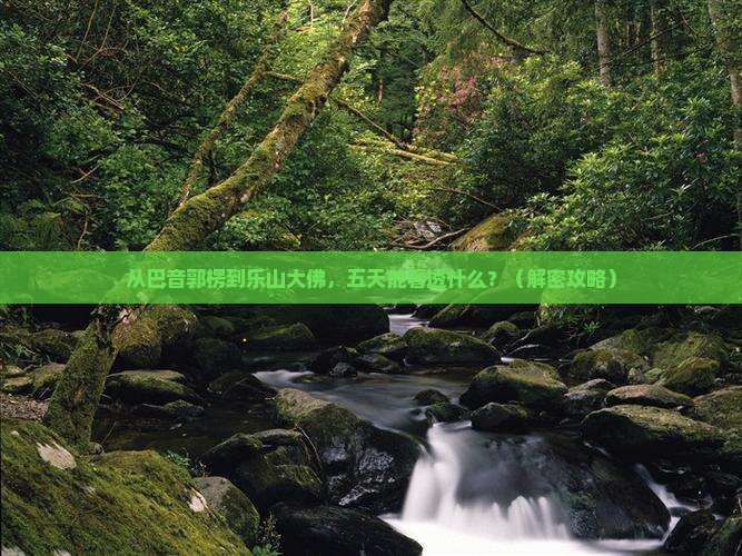 巴音郭楞去四川乐山大佛五日游