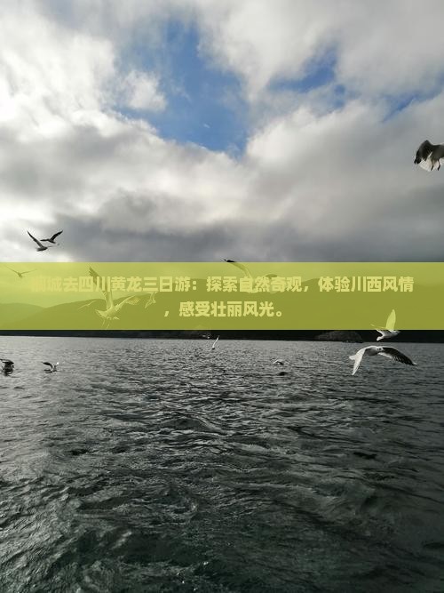 桐城去四川黄龙三日游