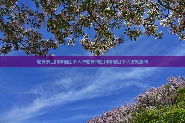 临夏去四川峨眉山个人游