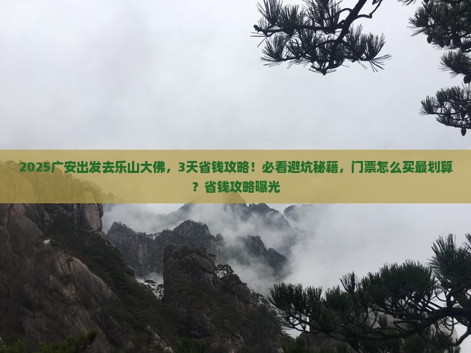 广安到四川乐山大佛门票