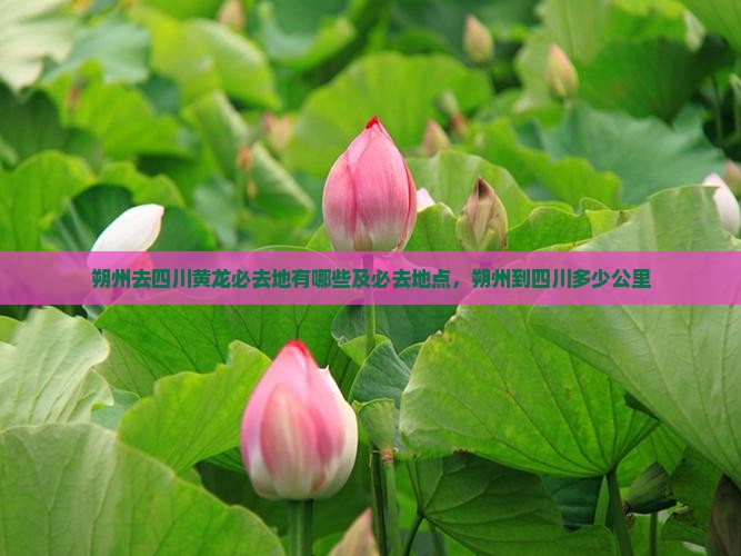 朔州去四川黄龙必去地