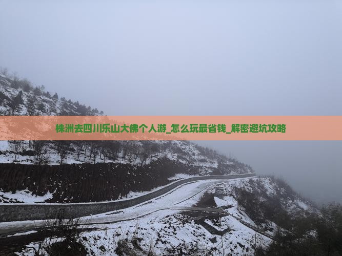 株洲去四川乐山大佛个人游