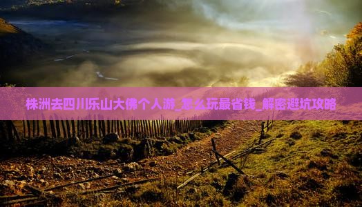 株洲去四川乐山大佛个人游