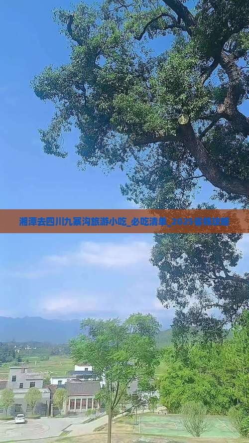 湘潭去四川九寨沟旅游小吃