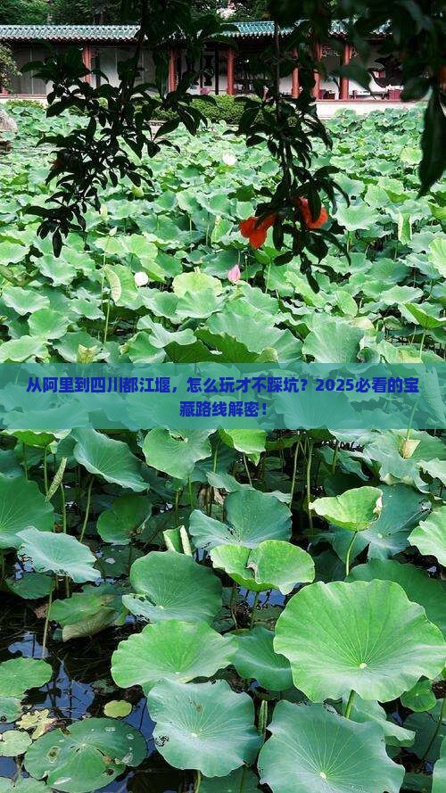 阿里到四川都江堰哪里玩