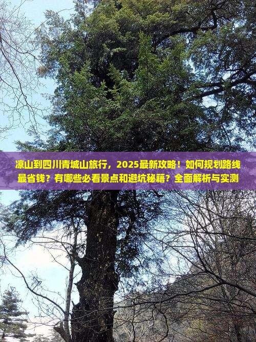 凉山到四川青城山旅行社