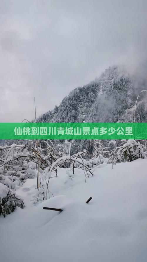 仙桃到四川青城山景点