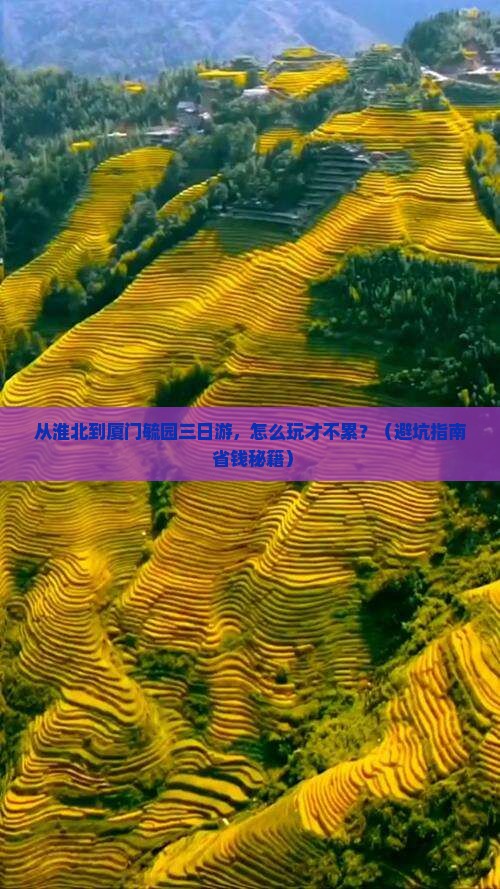 淮北到厦门毓园三日游