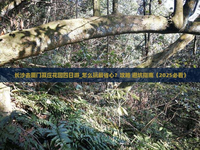 长沙去厦门菽庄花园四日游