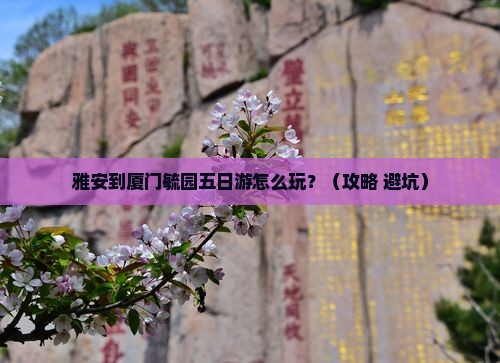 雅安到厦门毓园五日游