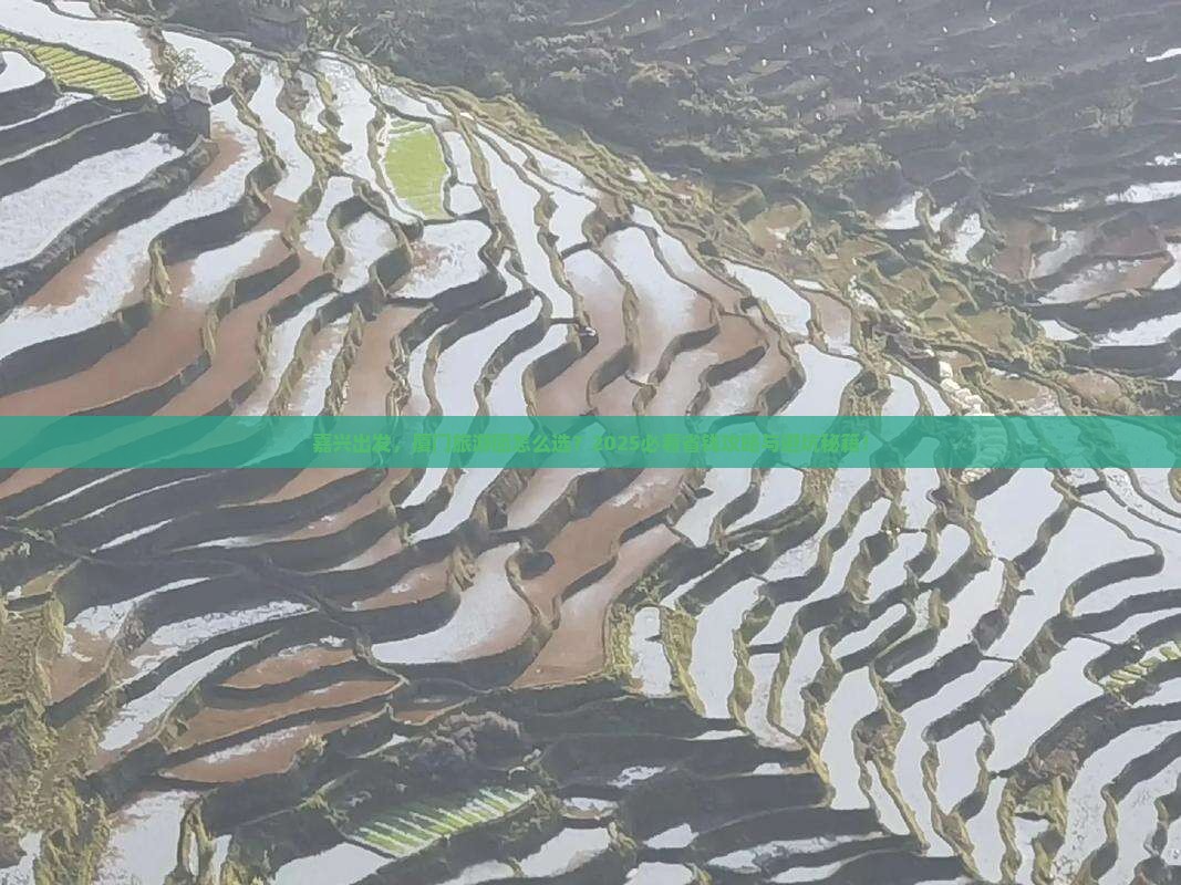 嘉兴去厦门大型旅游团