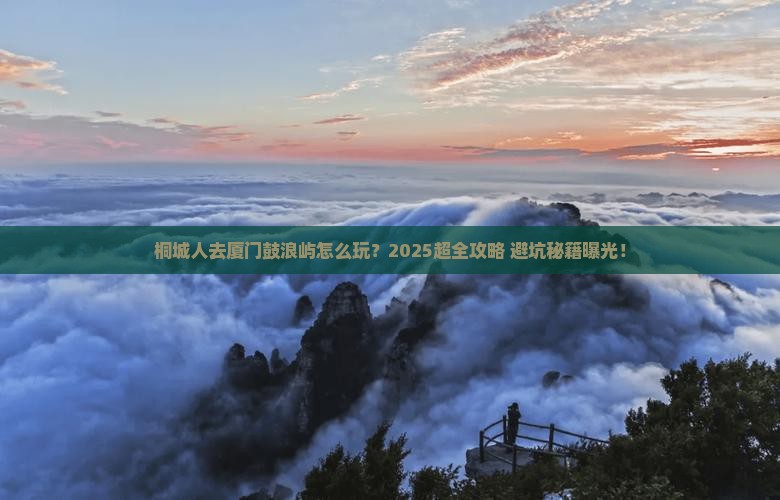 桐城去厦门鼓浪屿旅行社