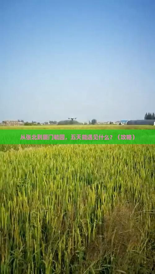 张北去厦门毓园五日游