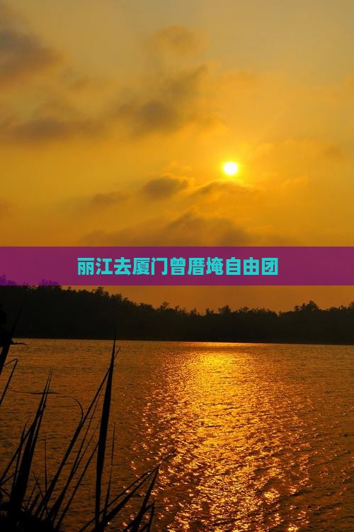 丽江去厦门曾厝埯自由团