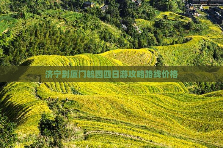 济宁到厦门毓园四日游
