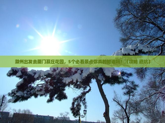 滁州到厦门菽庄花园自由团