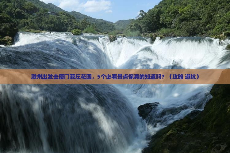 滁州到厦门菽庄花园自由团