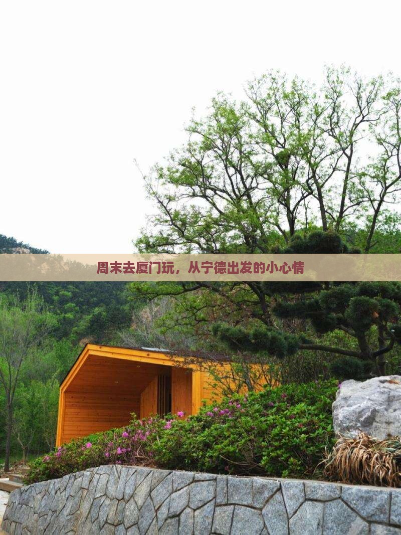 宁德去厦门旅游