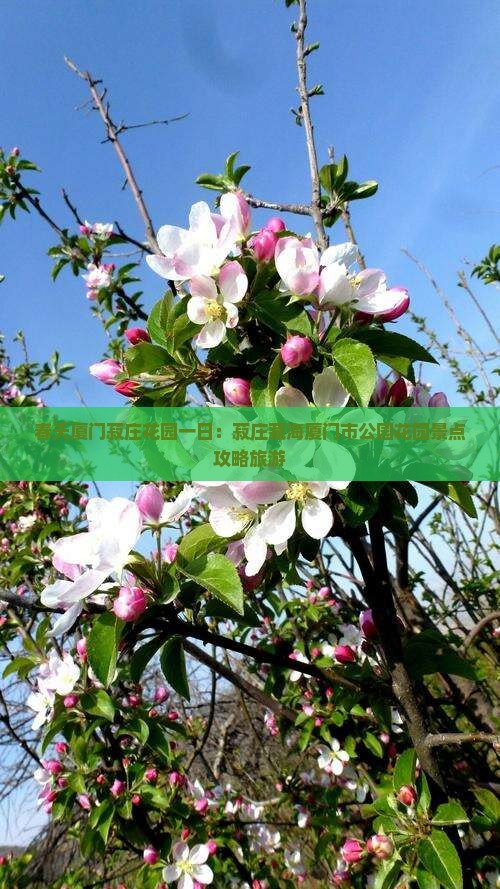 春天到厦门菽庄花园一日