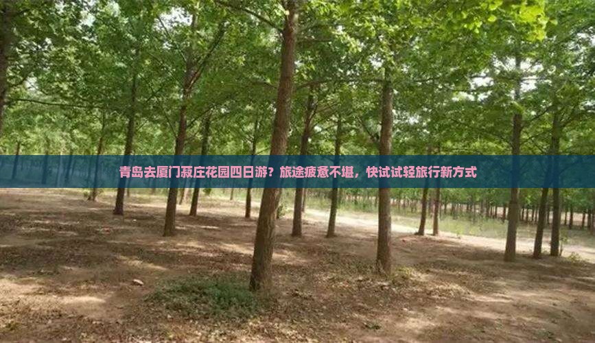 青岛去厦门菽庄花园四日游 青岛去厦门菽庄花园四日游