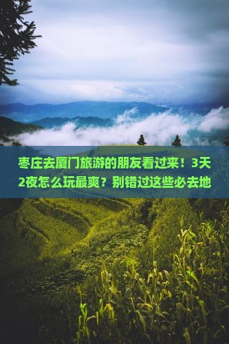 枣庄到厦门攻略