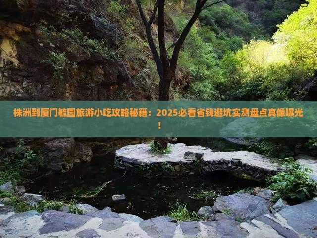 株洲到厦门毓园旅游小吃