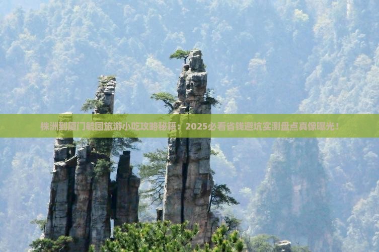 株洲到厦门毓园旅游小吃