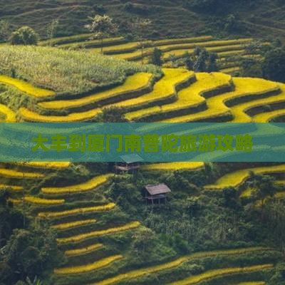 大丰去厦门南普陀攻略