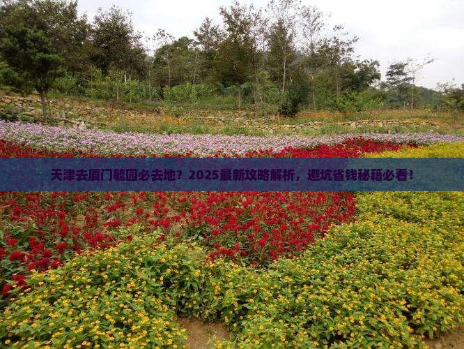 天津去厦门毓园必去地