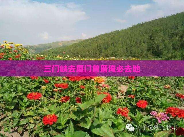 三门峡去厦门曾厝埯必去地