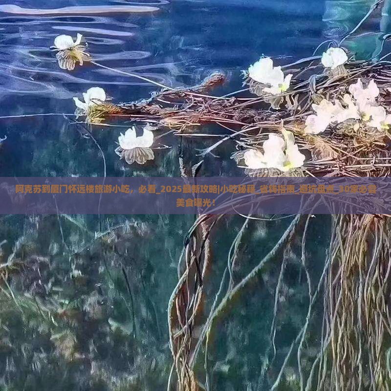 阿克苏到厦门怀远楼旅游小吃