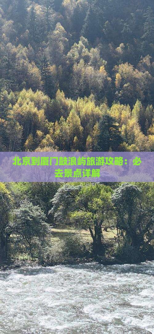 北京到厦门鼓浪屿哪里玩