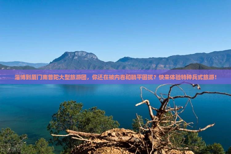淄博到厦门南普陀大型旅游团