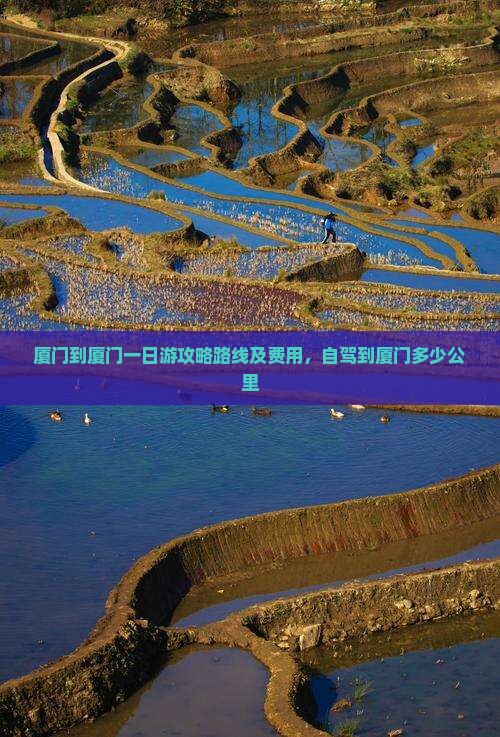 厦门到厦门一日