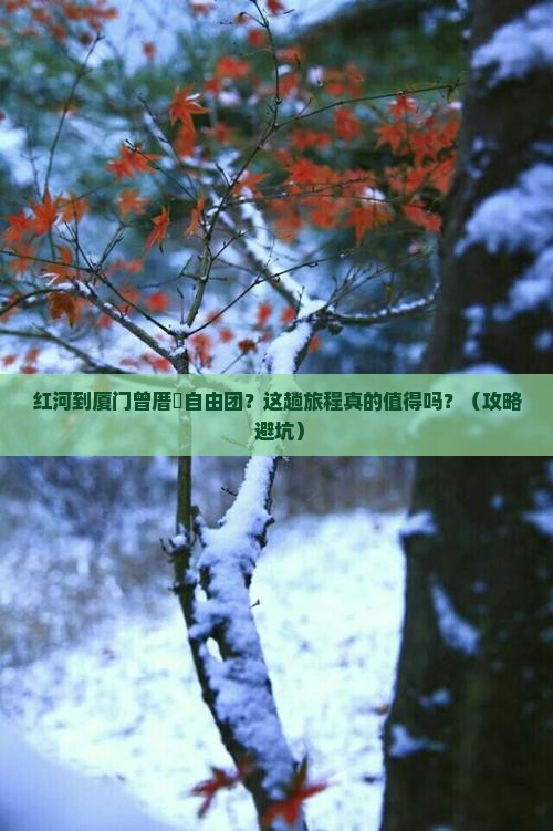 红河到厦门曾厝埯自由团