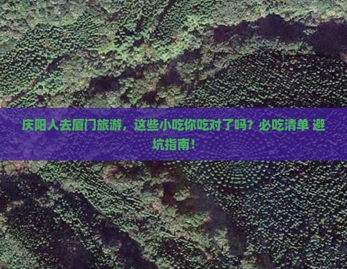 庆阳去厦门旅游小吃