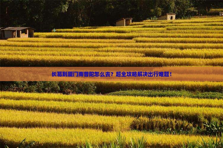 长葛到厦门南普陀旅行社