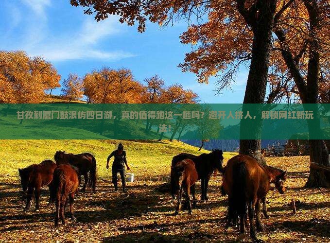 甘孜到厦门鼓浪屿四日游