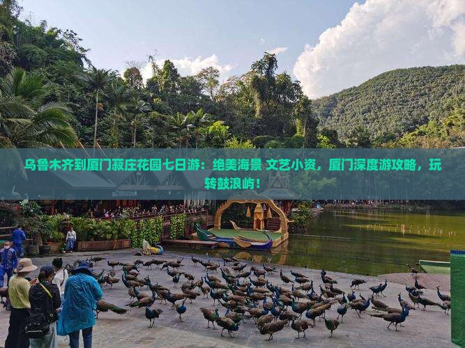 乌鲁木齐到厦门菽庄花园七日游