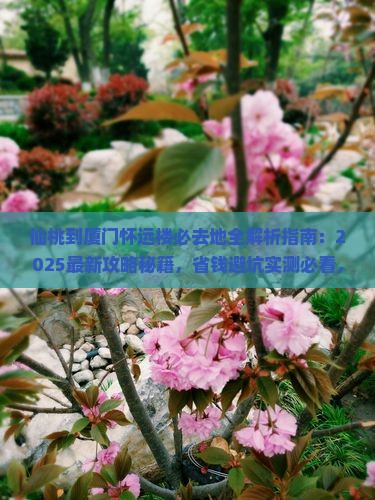 仙桃到厦门怀远楼必去地
