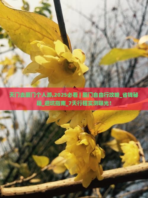 天门去厦门个人游